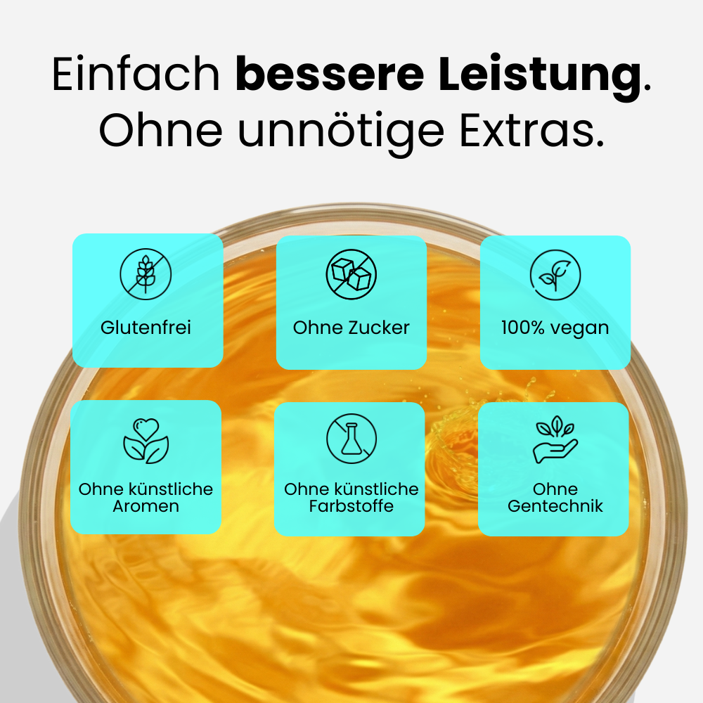 Lorem ipsum dolor agnes vitae revet