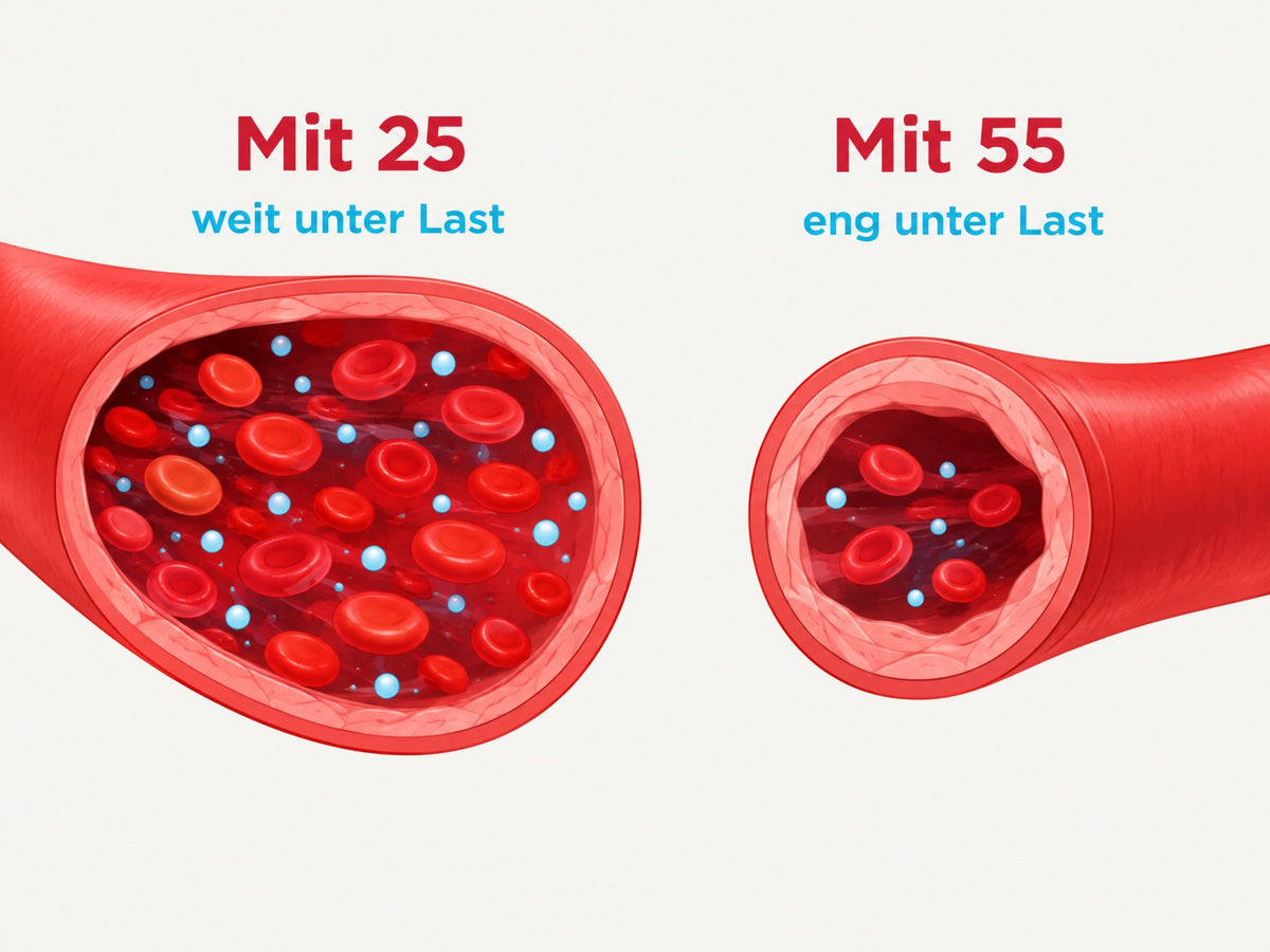 Gefäße mit 25 und mit 55 unter Last