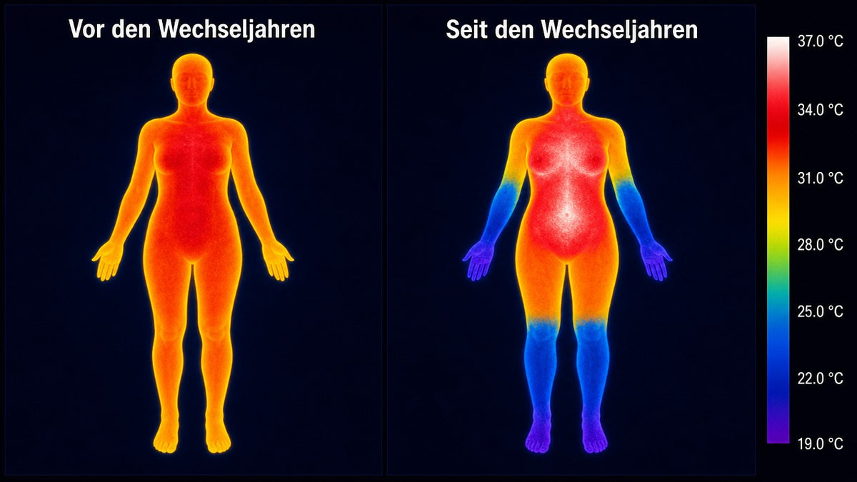 Wärmebild: vor den Wechseljahren warm bis in Hände und Füße, seit den Wechseljahren kalte Hände und Füße